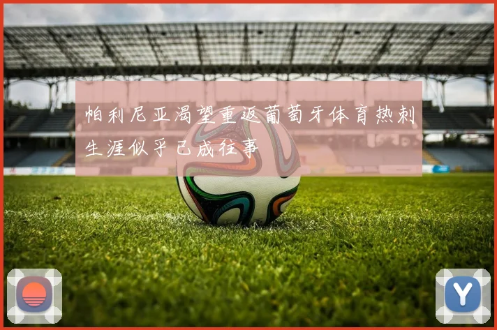 帕利尼亚渴望重返葡萄牙体育热刺生涯似乎已成往事