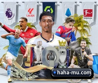 哈哈体育 APP - hahaSports
